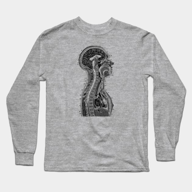 Upper Body Diagram - Vintage Anatomy Long Sleeve T-Shirt by Vintage Anatomy Prints